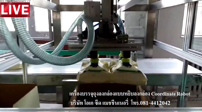 ขายเครื่องบรรจุสินค้าลงกล่อง แบบหยิบลงกล่อง Cordinated Robot Packing Machine 081-4412042